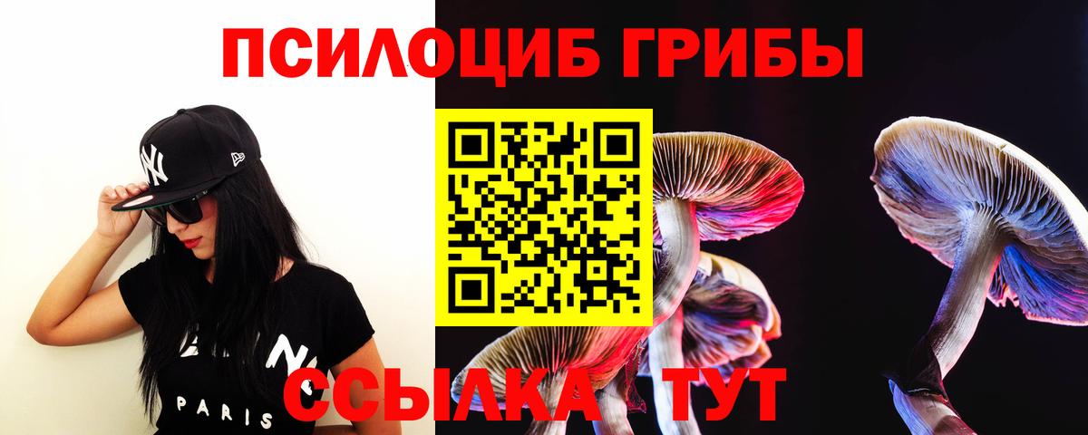 Железногорск  Псилоцибиновые грибы Psilocybe  Вход с VPN 